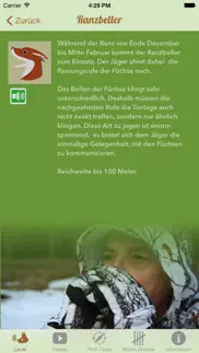 fuchs jagd iphone resimleri 3
