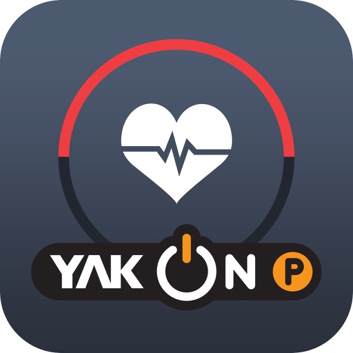 YAK ON P(야크온 펄스)