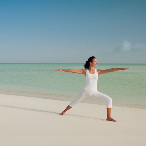 Yoga Poses Collection Pro