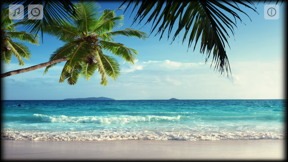 Ocean Sounds FREE screenshot