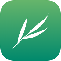 Bamboo - Save Share and Discover Highlights