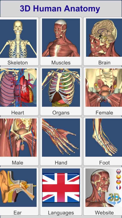 3D Anatomy