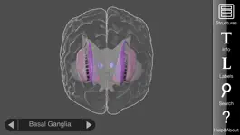 Game screenshot 3D Brain apk