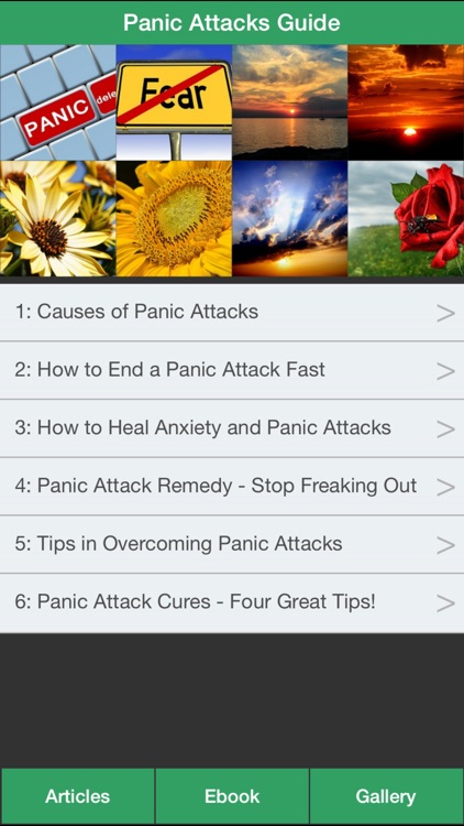Panic Attacks Guide - Learn How to Relieve Panic Attacks Symptoms!