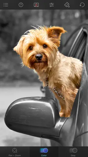 Captura de pantalla de Color Splash en iPhone 2