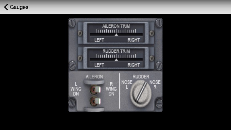 B737 Interactive Cockpit for FSX