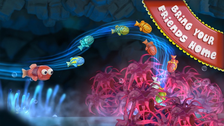 Fin Friends screenshot-4