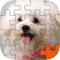 Puppy Play Jigsaw Puzzle Touch Party