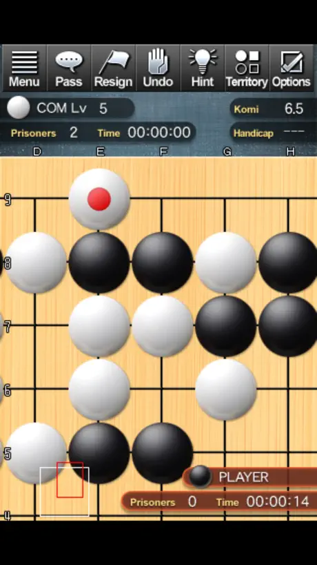 Champion Go Entry Edition