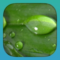 RelaxBook Nature - Sleep sounds for you to relax with water, rain, birds and more