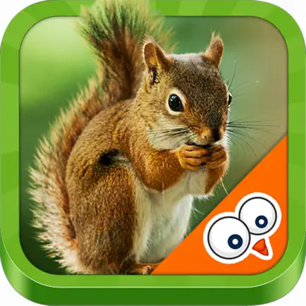Learn about animals Читы
