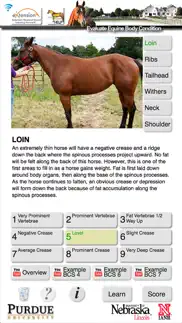 horsebcs problems & solutions and troubleshooting guide - 1