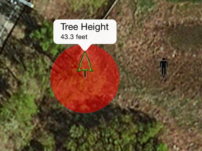Timber Tree Height Estimator
