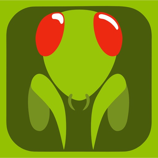 Pushbug by Fredrik Lillejordet