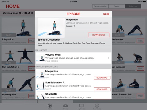 Vinyasa Yoga Lessons for iPad screenshot 3