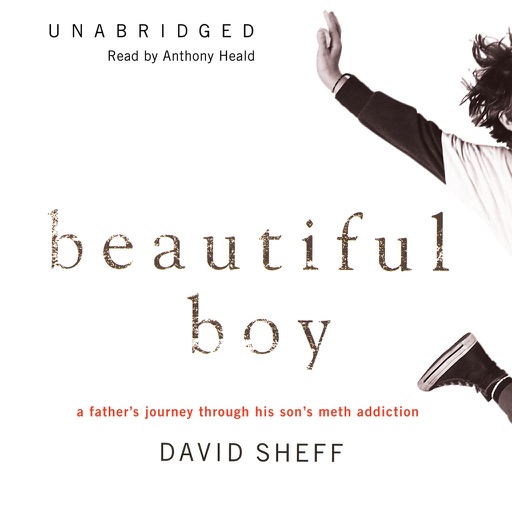 Beautiful Boy: A Father’s Journey through His Son's Meth Addiction (by David Sheff) (UNABRIDGED AUDIOBOOK) icon