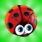 “Bugster Bee” is a new modification of classic Sokoban puzzle