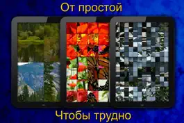 Game screenshot Логические загадки apk