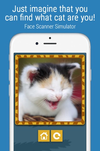 Face scanner prank: What cat? screenshot 2