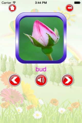 Flower For Kid - Educate Your Child To Learn English In A Different Way screenshot 4