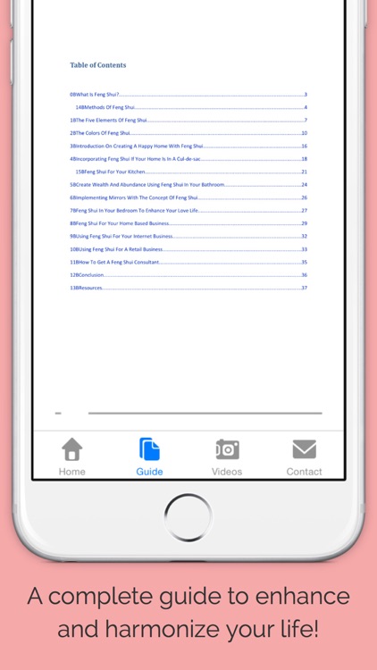 Feng Shui 101 - Pro Edition