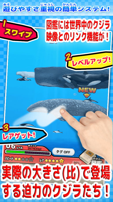 世界のクジラとイルカ図鑑 ～かんたん図鑑放置シリーズ～ くじら水族館ゲーム！のおすすめ画像2