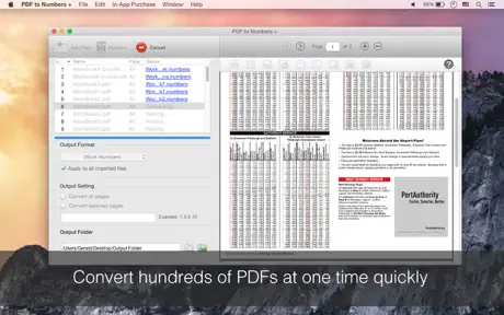 PDF to Numbers +
