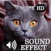 Animal Epic Sounds Board HD