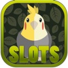 Classic Birds Slots - FREE Casino Machine For Test Your Lucky