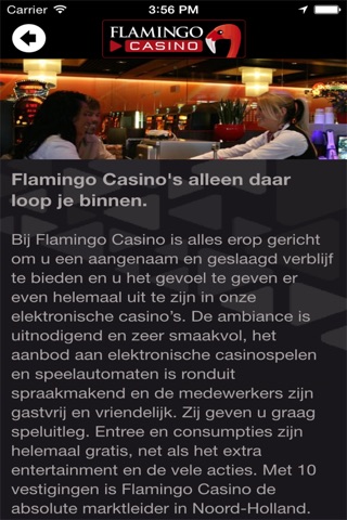 Flamingo Casino screenshot 2