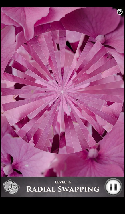 Hidden Scenes - Spring Vibes screenshot-3