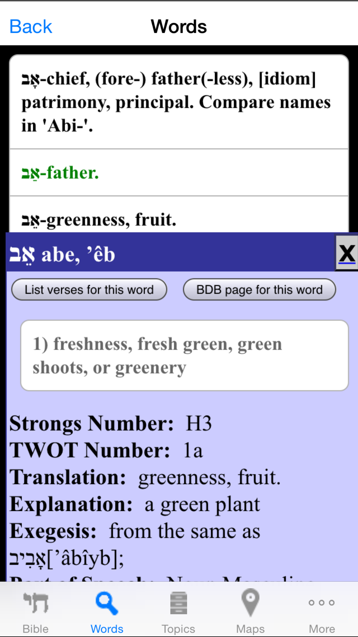 HebrewBible screenshot 3
