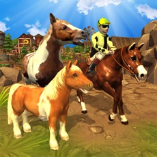 Activities of Horsey Horse World