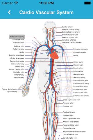 Anatomy Guide (Pocket Book) screenshot 3