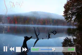 Game screenshot Лучший романтический фортепиано apk