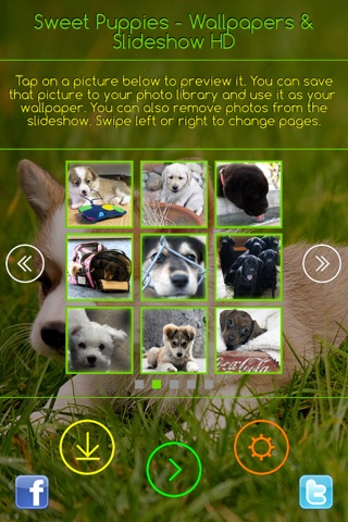 Sweet Puppies - Wallpapers & Slideshow HD screenshot 3