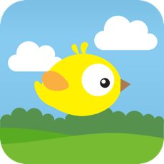 Activities of Paper Bird - The impossible adventure of a clumsy bird