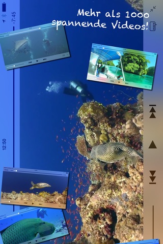 Scuba Diving - Amazing underwater world screenshot 2