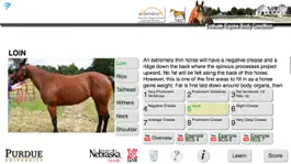 Game screenshot HorseBCS hack