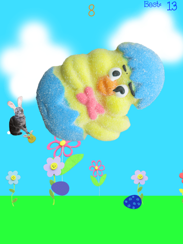 Wow Meow Bunny Cat - Free iPad screenshot