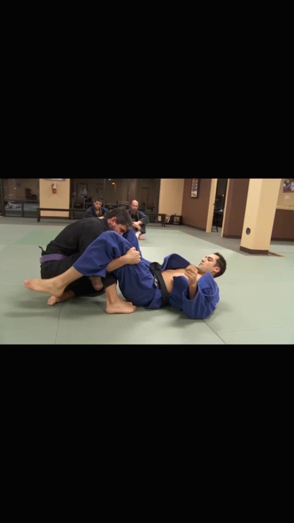 Brazilian Jiu Jitsu: Brown Belt Requirements
