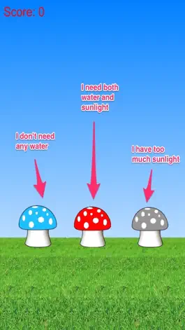 Game screenshot Collect Water And Sunlight: Grow Cute Mushroom Free apk