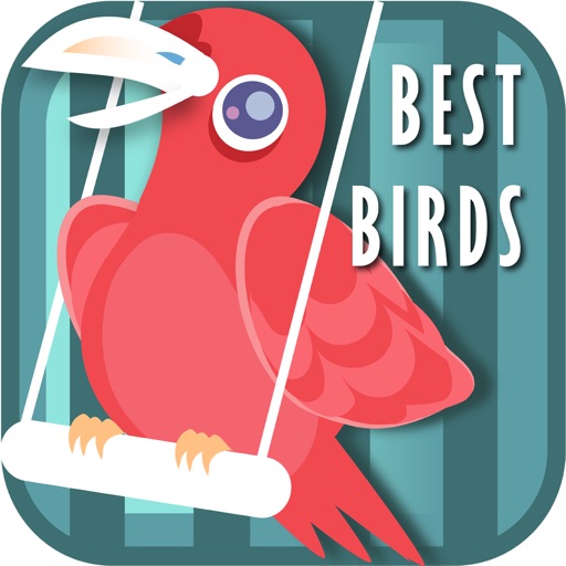 The Best Birds Sounds+ icon