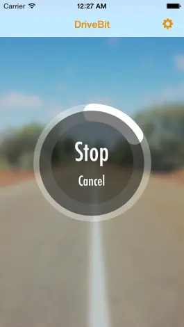 Game screenshot DriveBit Free hack