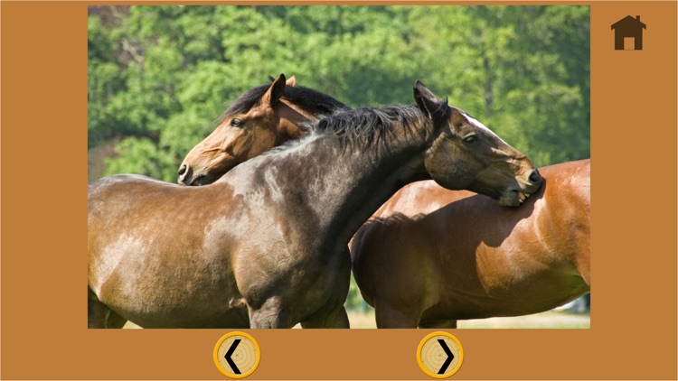 lovely horses for kids - free game