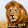 African Animals - Interactive Video Safari