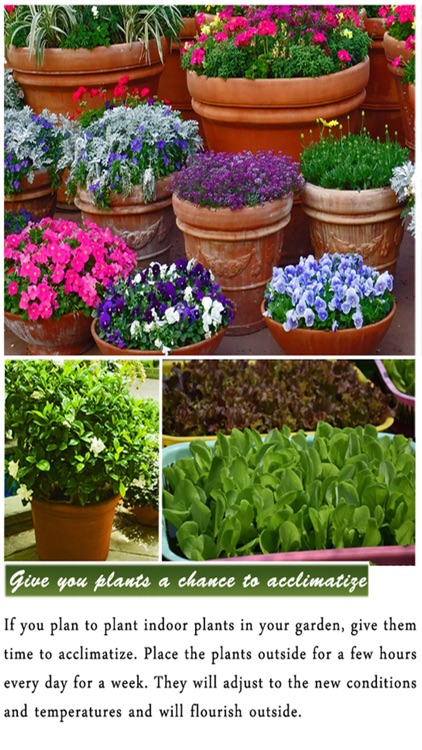 DIY Gardening Tips screenshot-3