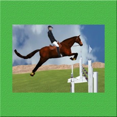 Activities of Steeplechase - Horse Jumping