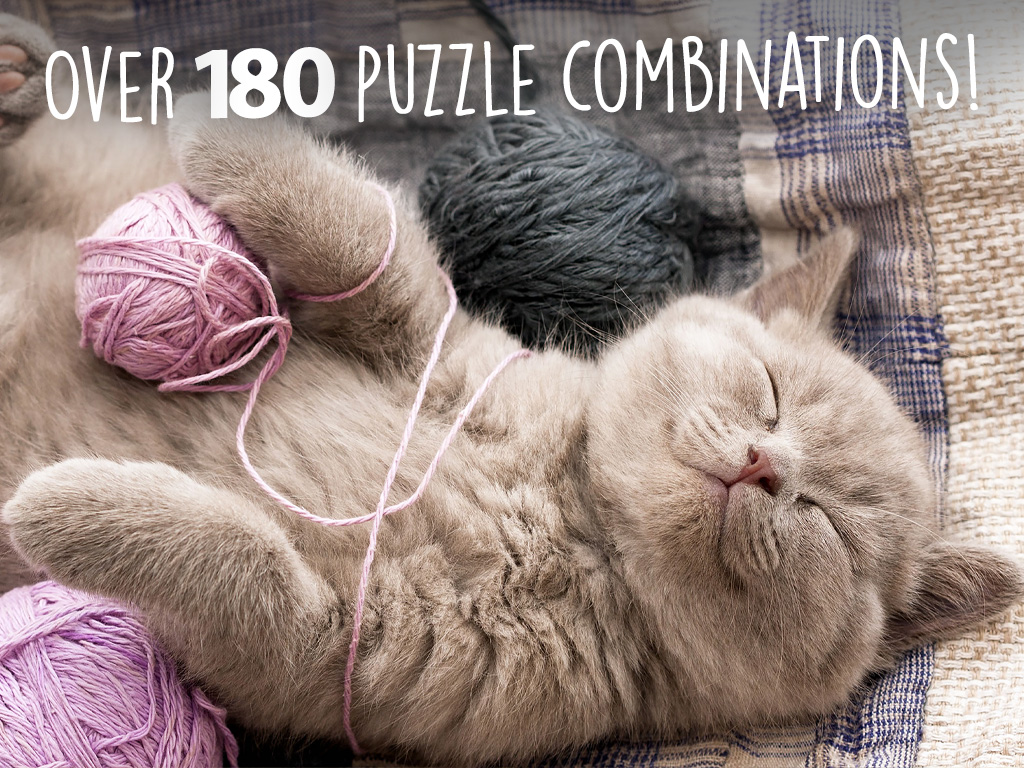 Jigsaw Wonder Kittens Puzzles for Kids Free