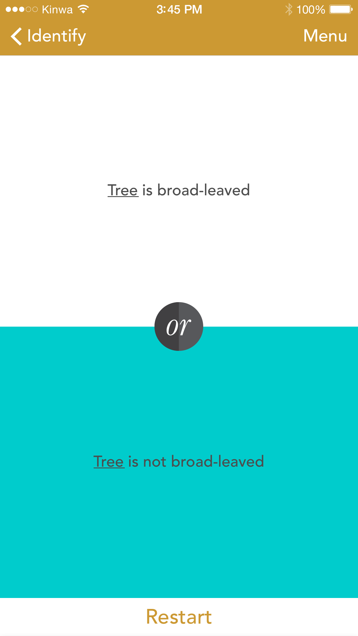 Trees: North & Central Florida